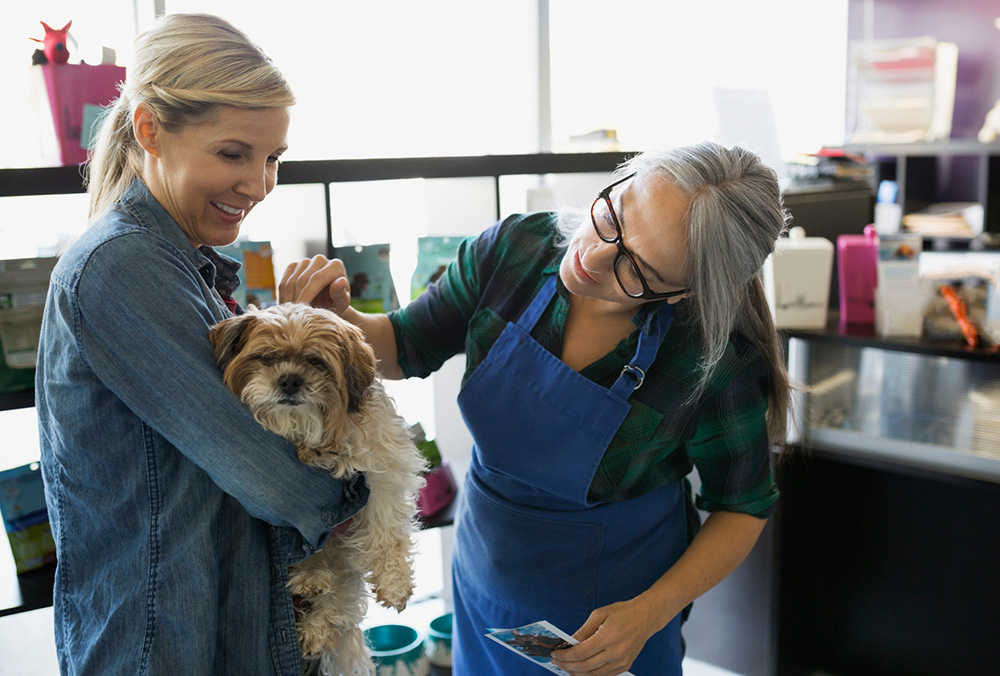 Transforming Behavior The Power Of Private Training With TranslatingDog