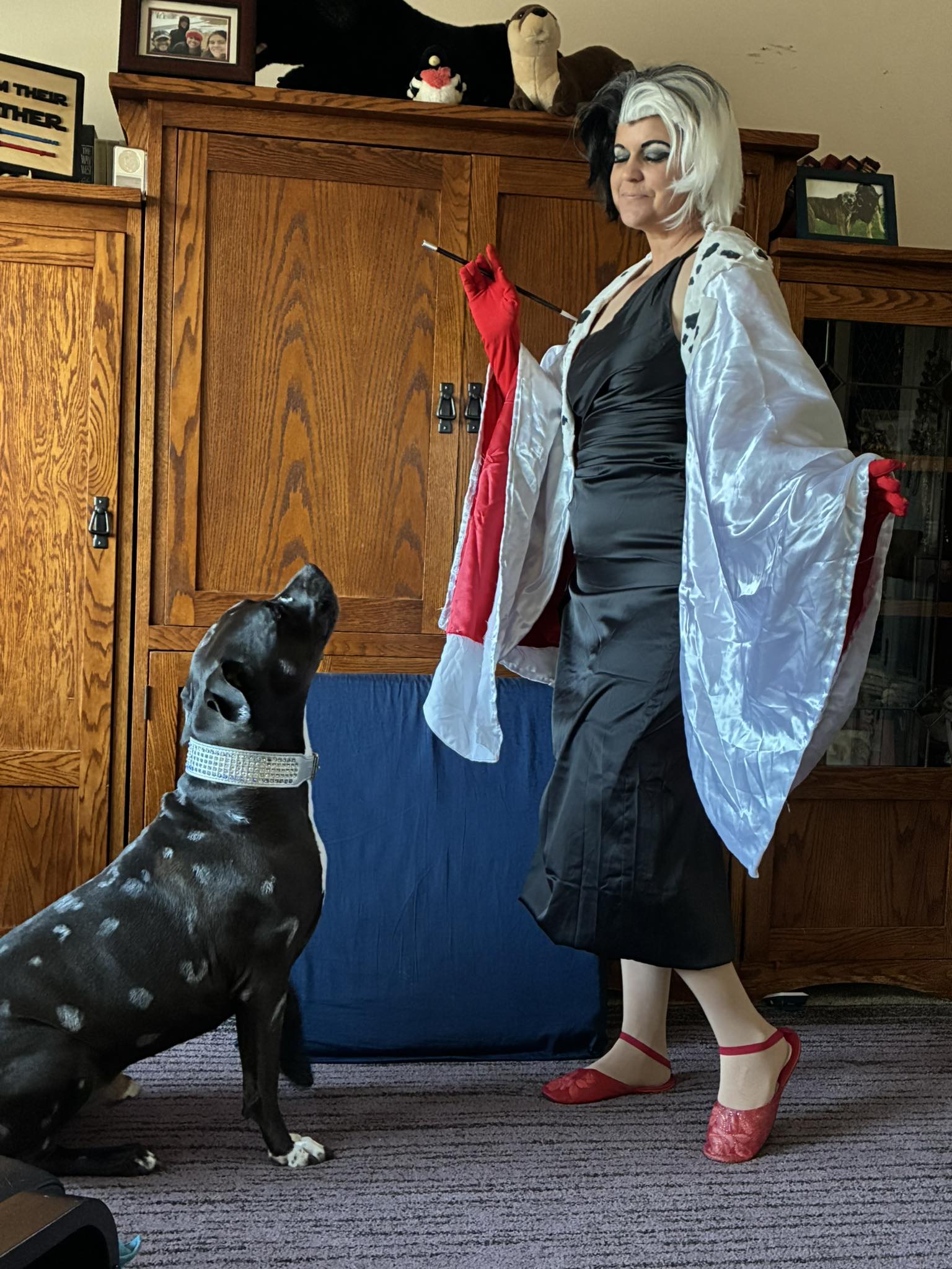 It's Train Your Dog To Sit At The Door Day!